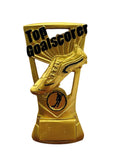 FLASH TOP GOAL SCORER